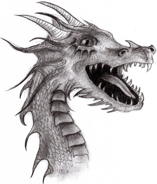 dragon drawing in pencil